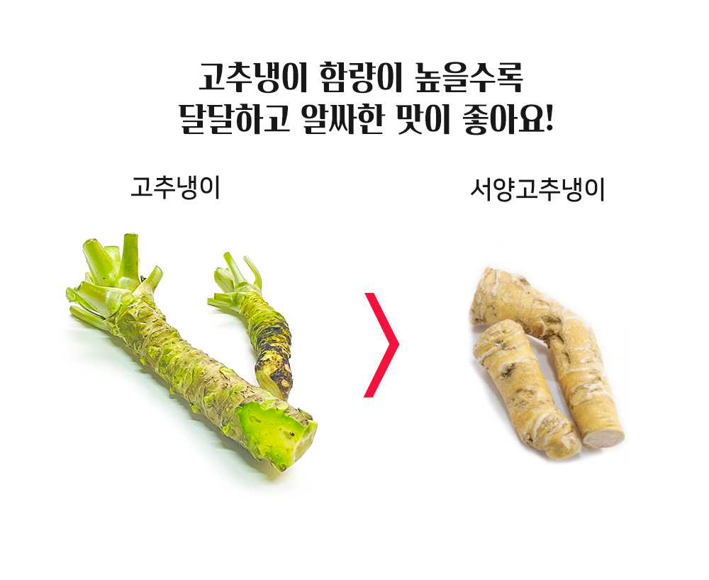 코우생와사비800g